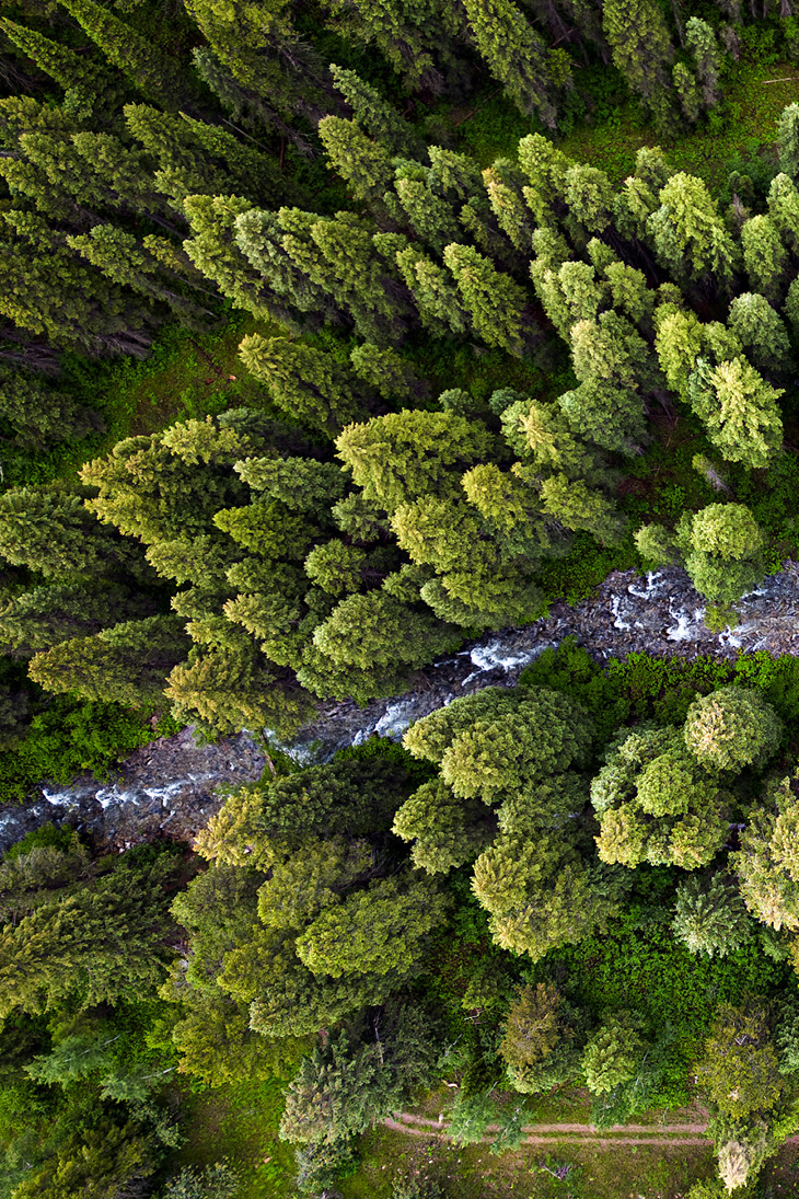 Aerial view of trees in Wyoming from the Sustainability Report cover